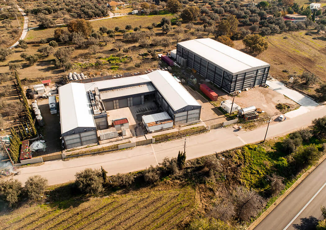 Antonopoulos K. Vineyards